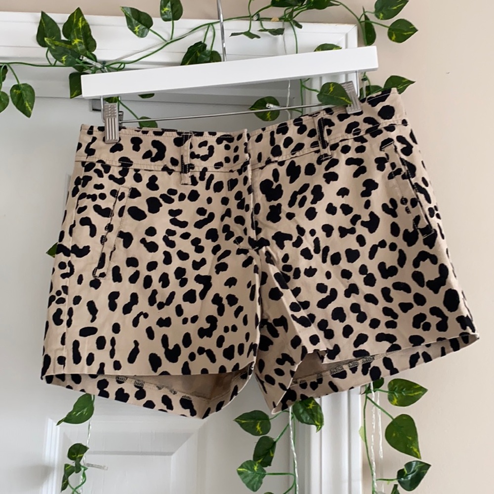 Cache Leopard Print Shorts - image 1